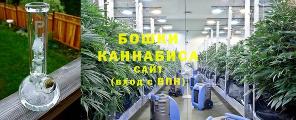 шишки Алзамай