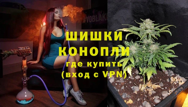 шишки Алзамай