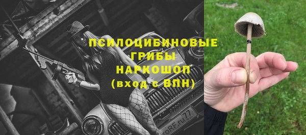 шишки Алзамай