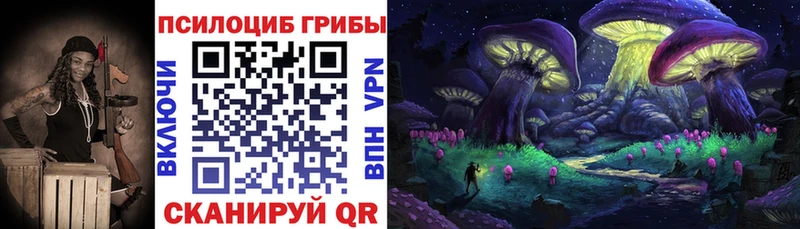 Псилоцибиновые грибы Psilocybine cubensis  хочу   Трубчевск 
